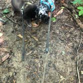 Review photo of Nolin Lake State Park Campground by Shelly S., June 9, 2018