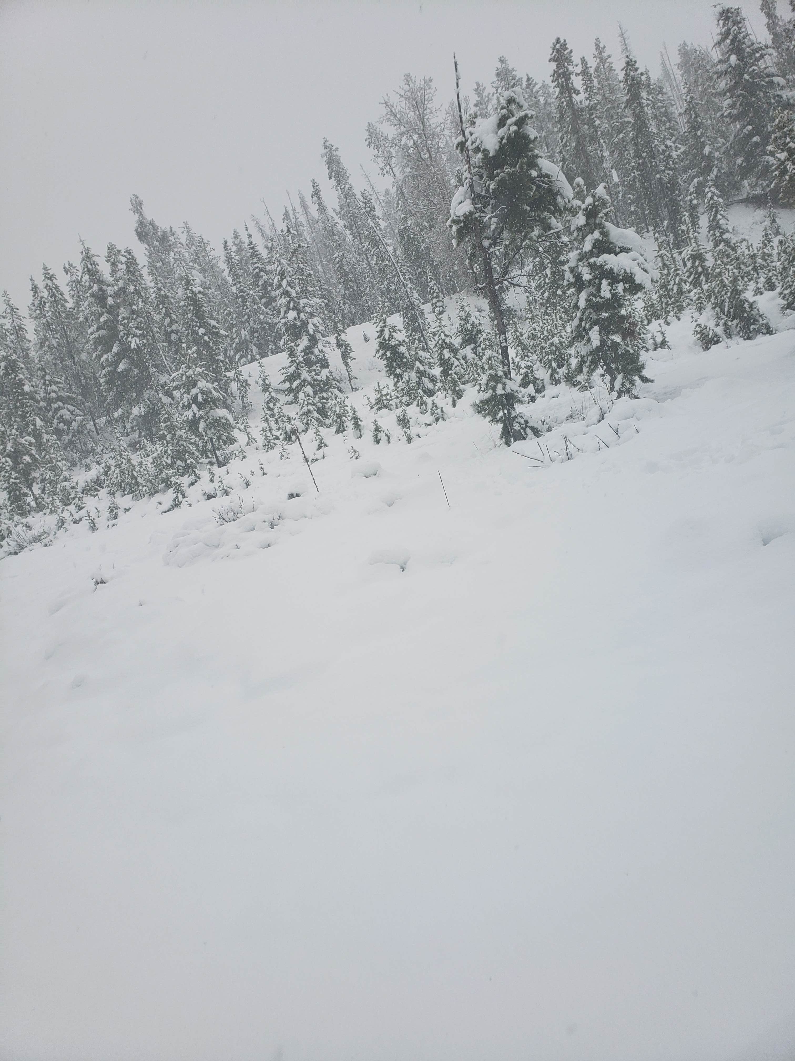 Camper-submitted photo at Piney Campground And Boat Launch near Anaconda-Deer Lodge County, MT