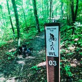 Review photo of Nolin Lake State Park Campground by Shelly S., June 9, 2018