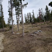 Review photo of Piney Campground And Boat Launch by Jeremiah H., June 12, 2021