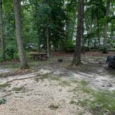 Review photo of Old Cedar Campground by AdventureStang , June 12, 2021