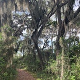 Review photo of Skidaway Island State Park Campground by Jason F., June 13, 2021
