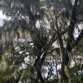 Review photo of Skidaway Island State Park Campground by Jason F., June 13, 2021