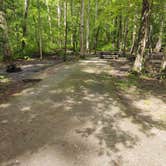 Review photo of Old Stone Fort State Archaeological Park by Timothy T., June 13, 2021