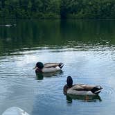 Review photo of Table Rock State Park Campground by John B., June 13, 2021