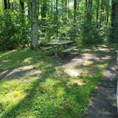 Review photo of Geneva State Park Campground by Amanda S., June 13, 2021