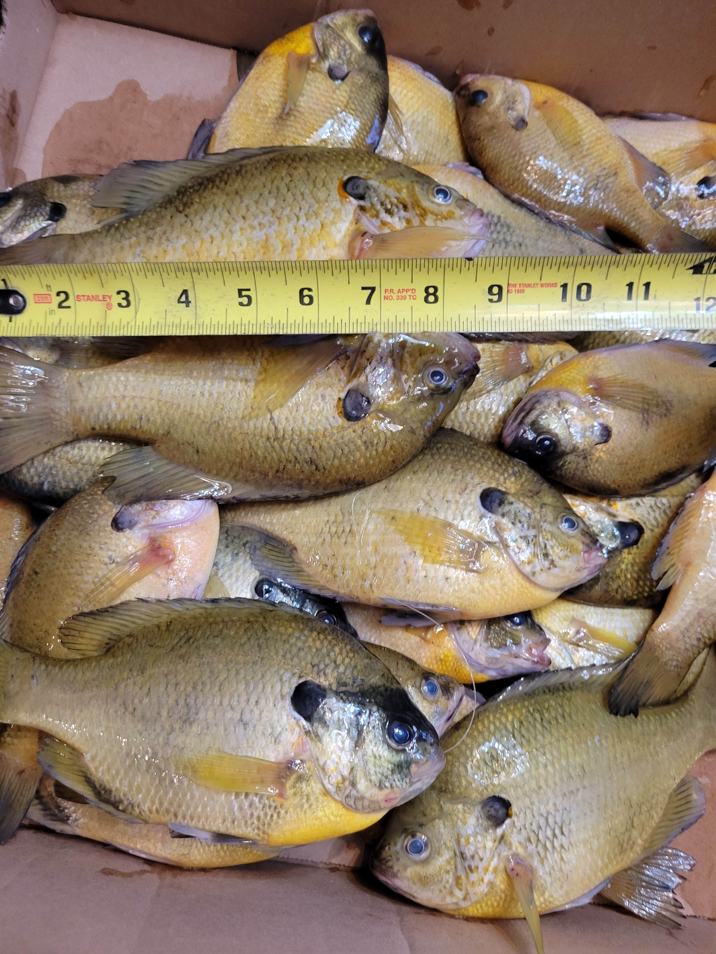 Willow Slough Fish & Wildlife Area Camping The Dyrt