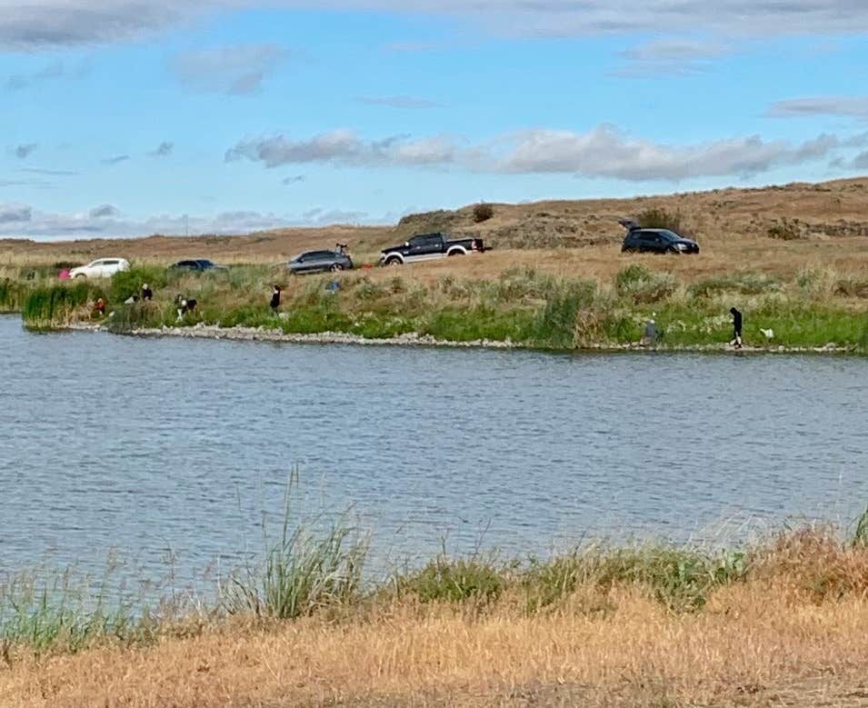 Camping near Fishtrap Recreation Area: Cow Lake, Lamont, Washington