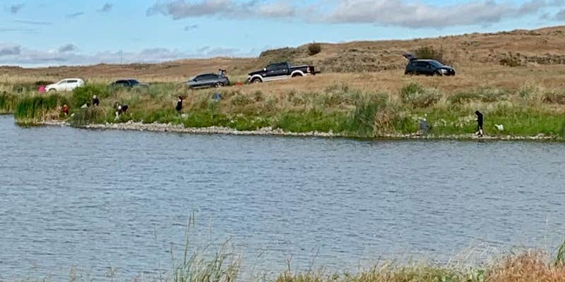 Camper submitted image from Cow Lake