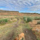 Review photo of Cow Lake by jeremy B., June 13, 2021