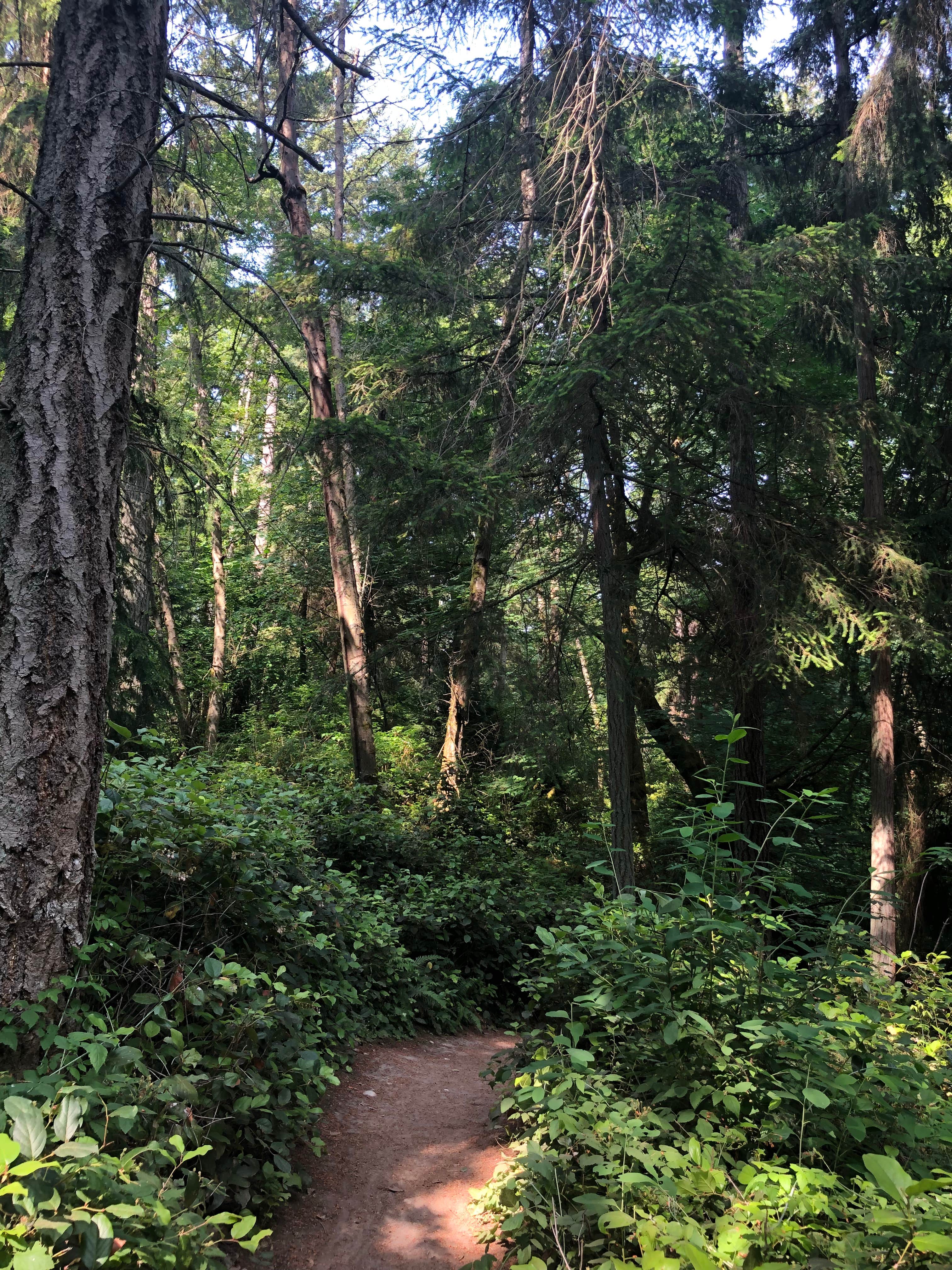 Dash Point State Park Campground
