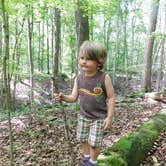 Review photo of Letchworth State Park Campground by Susan L., June 9, 2018