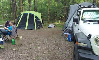 Carolyn W.'s photo at Little Pond Campground near Arkville, NY