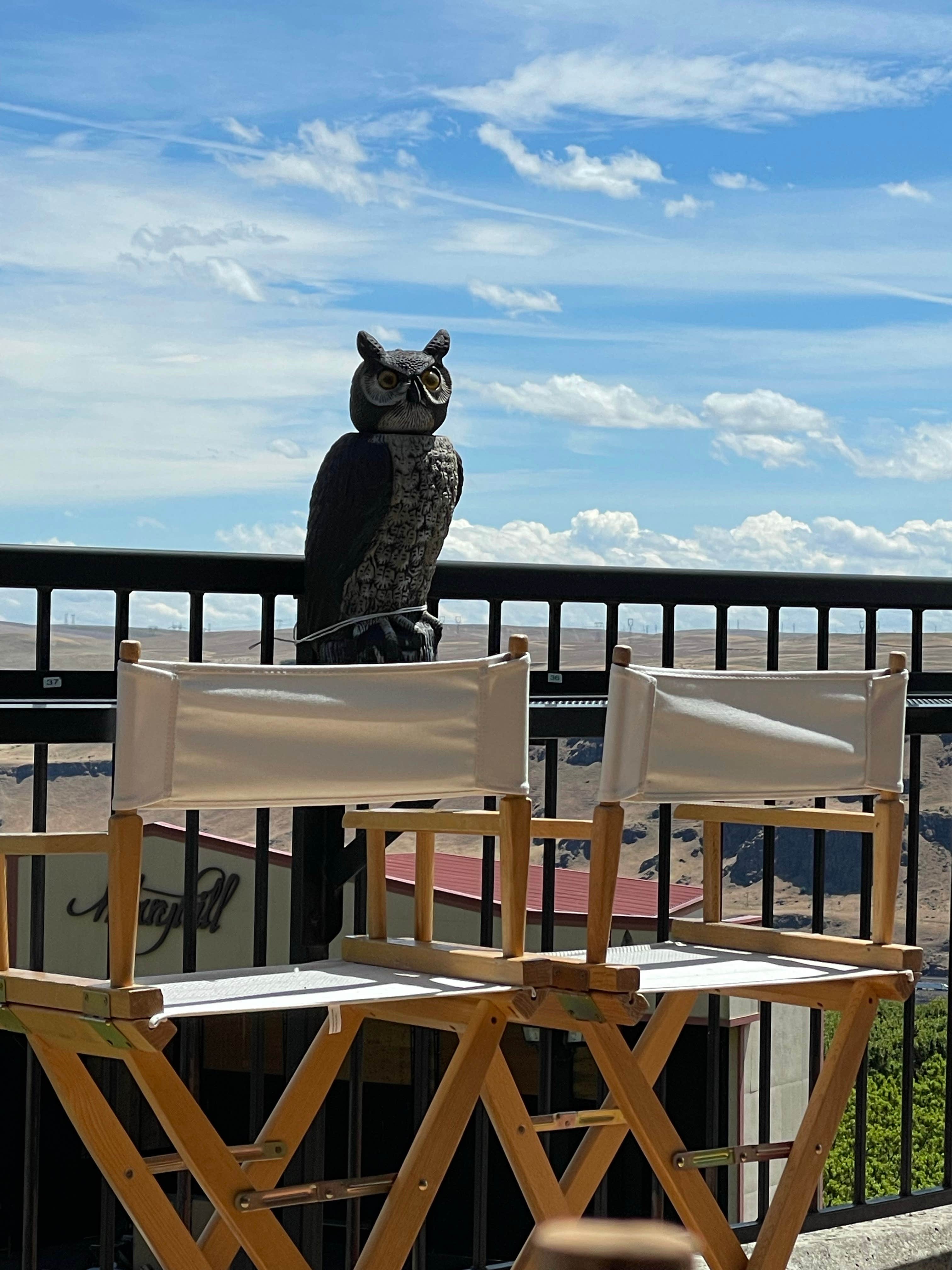 Craig S.'s photo of camping with pets at Maryhill State Park Campground near The Dalles, OR