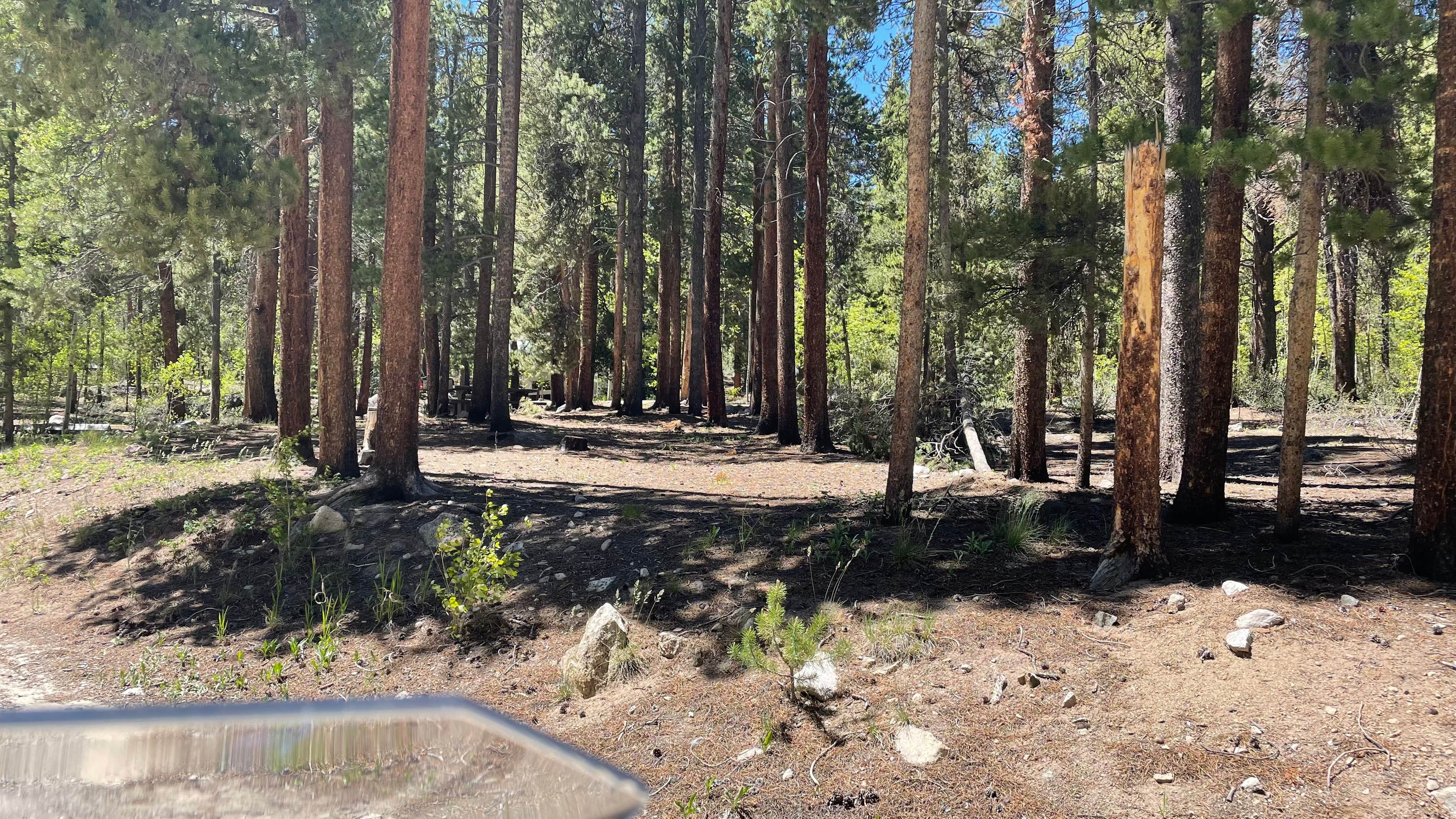 Camper-submitted photo at Collegiate Peaks near Pitkin, CO