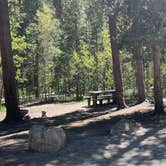 Review photo of Collegiate Peaks by Jonathan , June 13, 2021