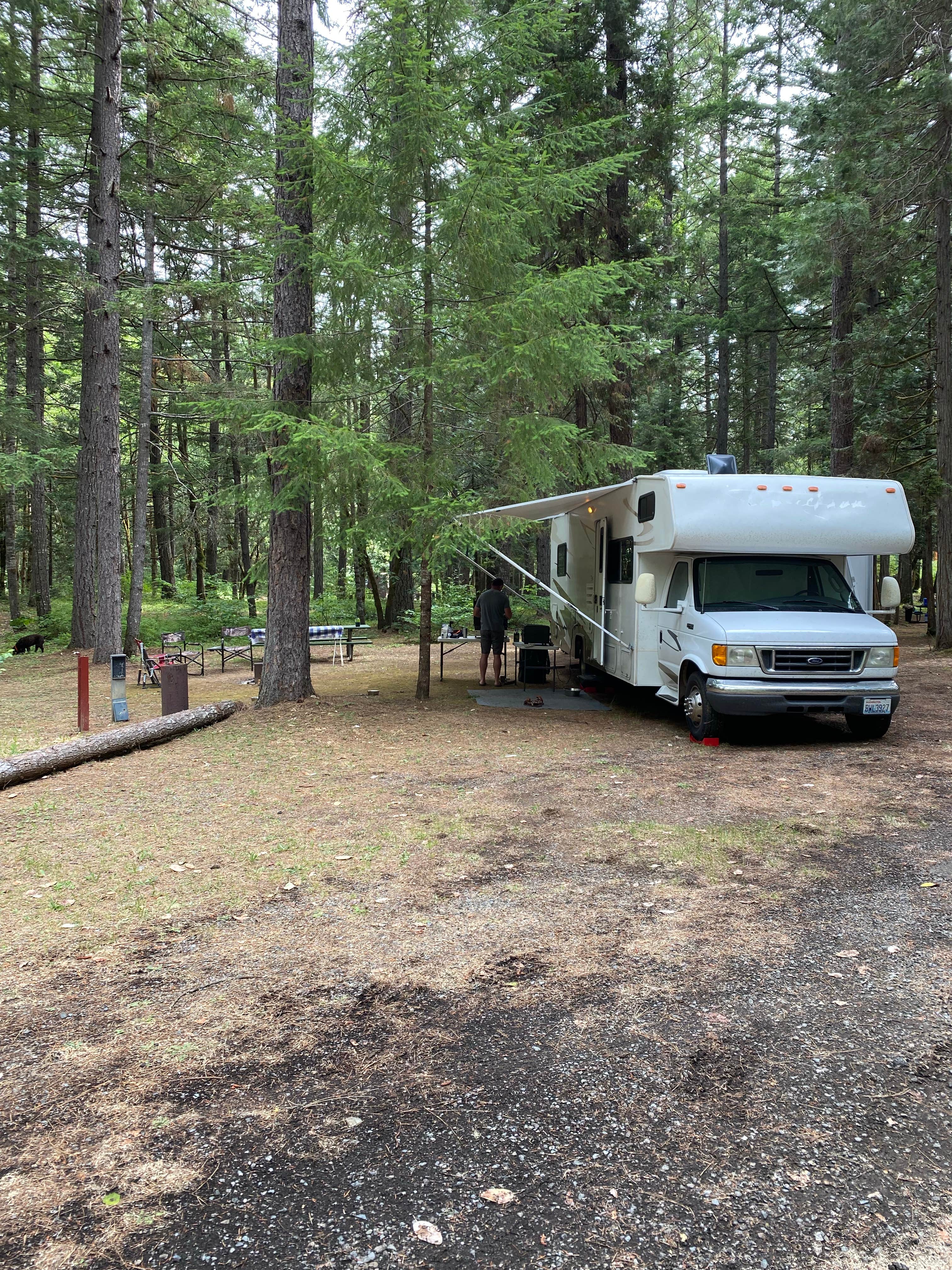 Camper submitted image from Wolf Creek Park - 2