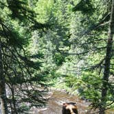 Review photo of Judge C. R. Magney State Park Campground by Tony J., June 2, 2018