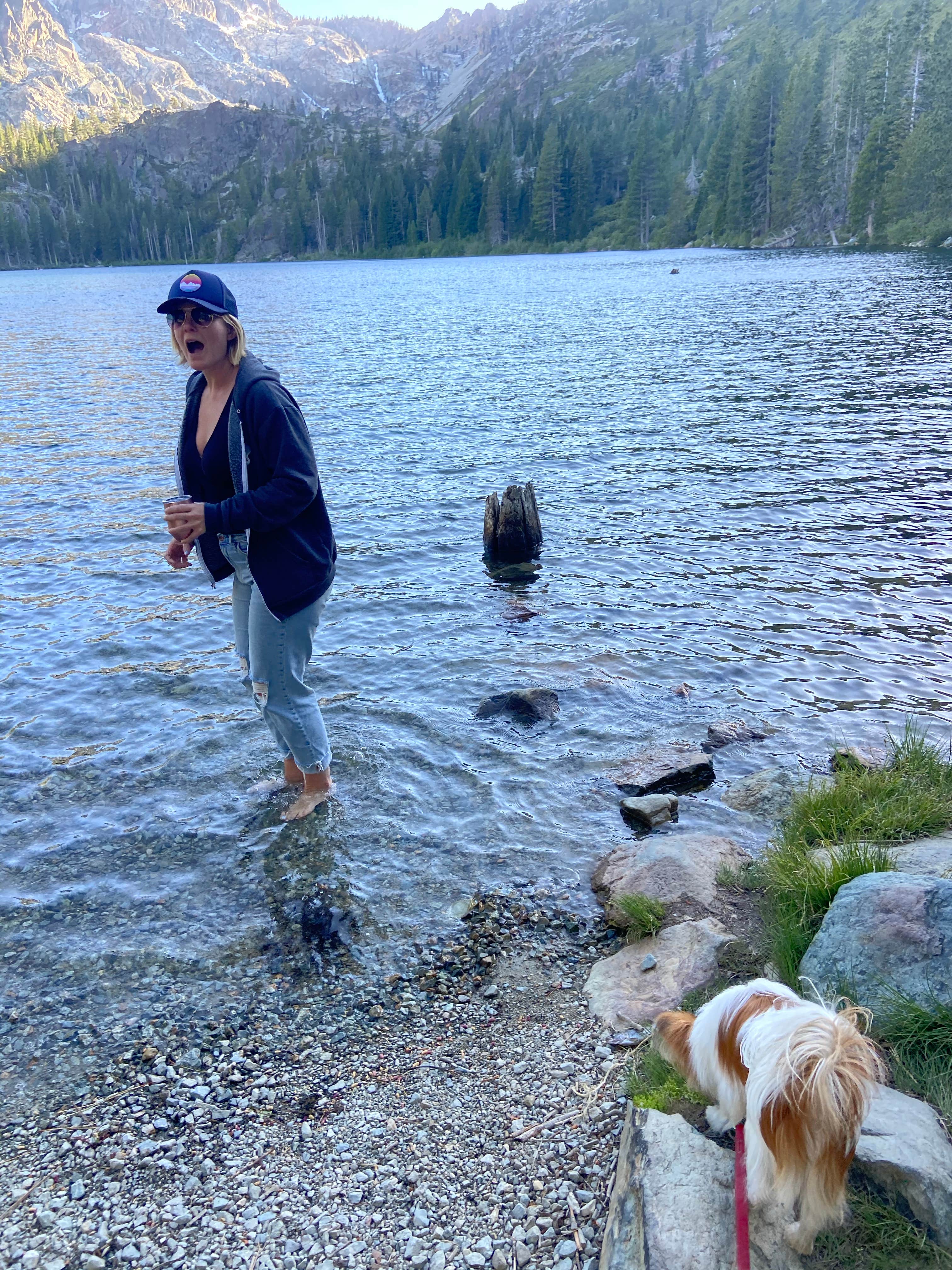 Danielle B.'s photo of camping with pets at Sardine Lake near Plumas National Forest
