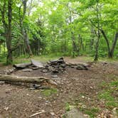 Review photo of Giant Ledge Primitive Camp by Raj T., May 30, 2021