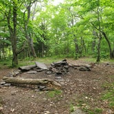 Review photo of Giant Ledge Primitive Camp by Raj T., May 30, 2021