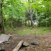 Review photo of Giant Ledge Primitive Camp by Raj T., May 30, 2021