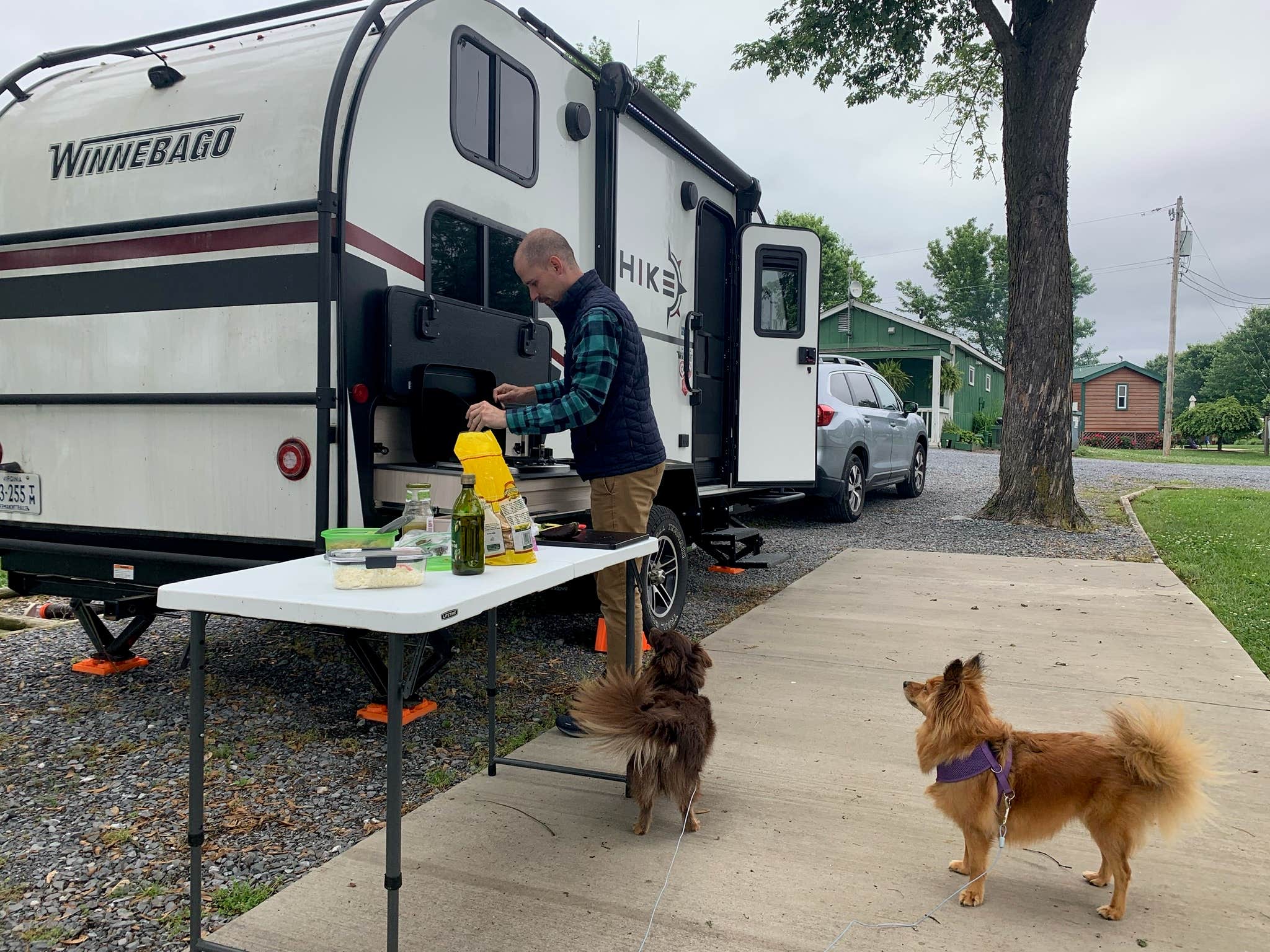 Erika S.'s photo of camping with pets at Spacious Skies Shenandoah Views near Shenandoah, VA