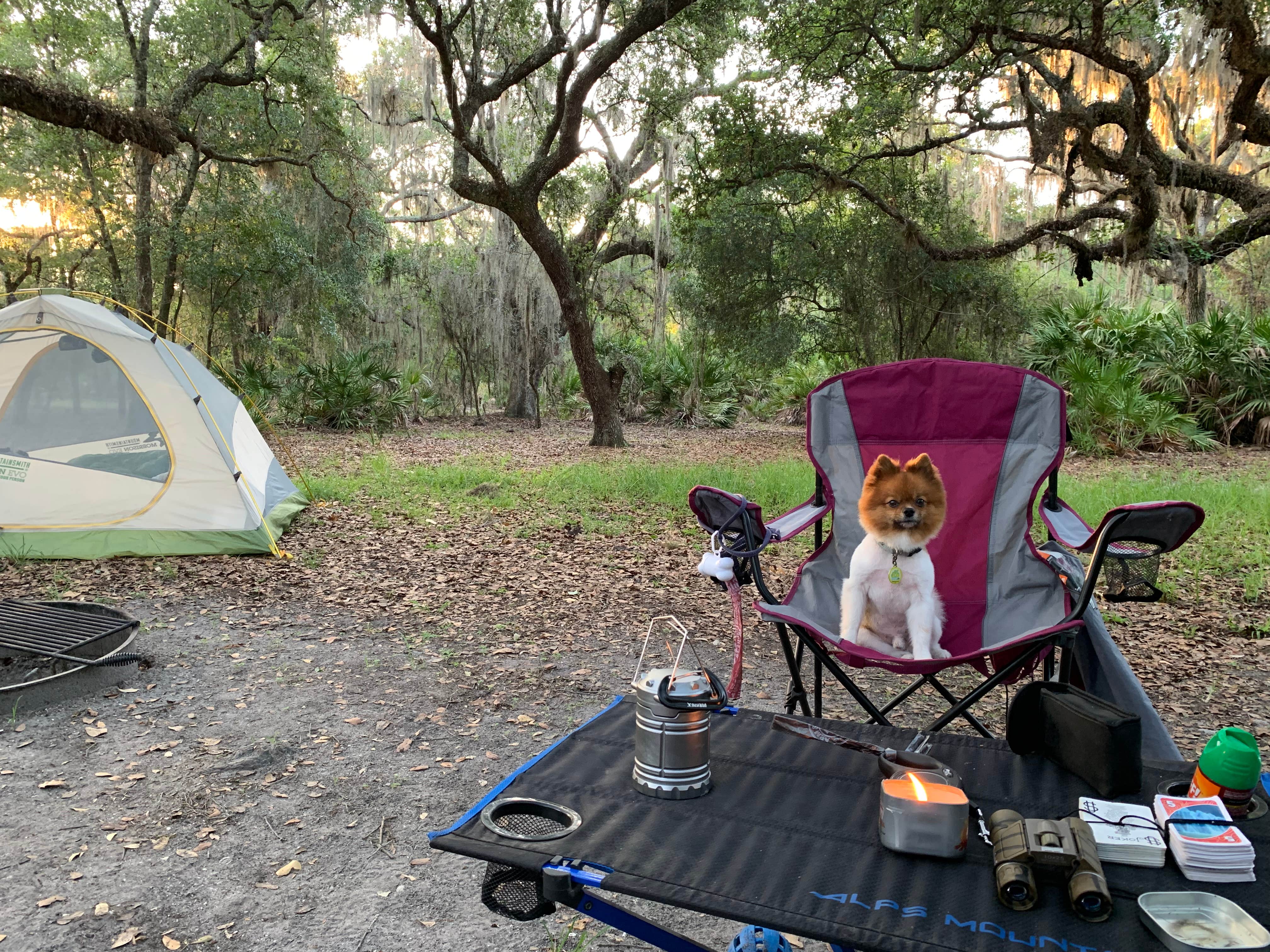 Nick C.'s photo of camping with pets at Lake Kissimmee State Park Campground near Merritt Island, FL