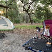 Review photo of Lake Kissimmee State Park Campground by Nick C., June 13, 2021