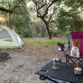 Review photo of Lake Kissimmee State Park Campground by Nick C., June 13, 2021
