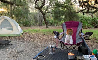 Nick C.'s photo of camping with pets at Lake Kissimmee State Park Campground near Poinciana, FL