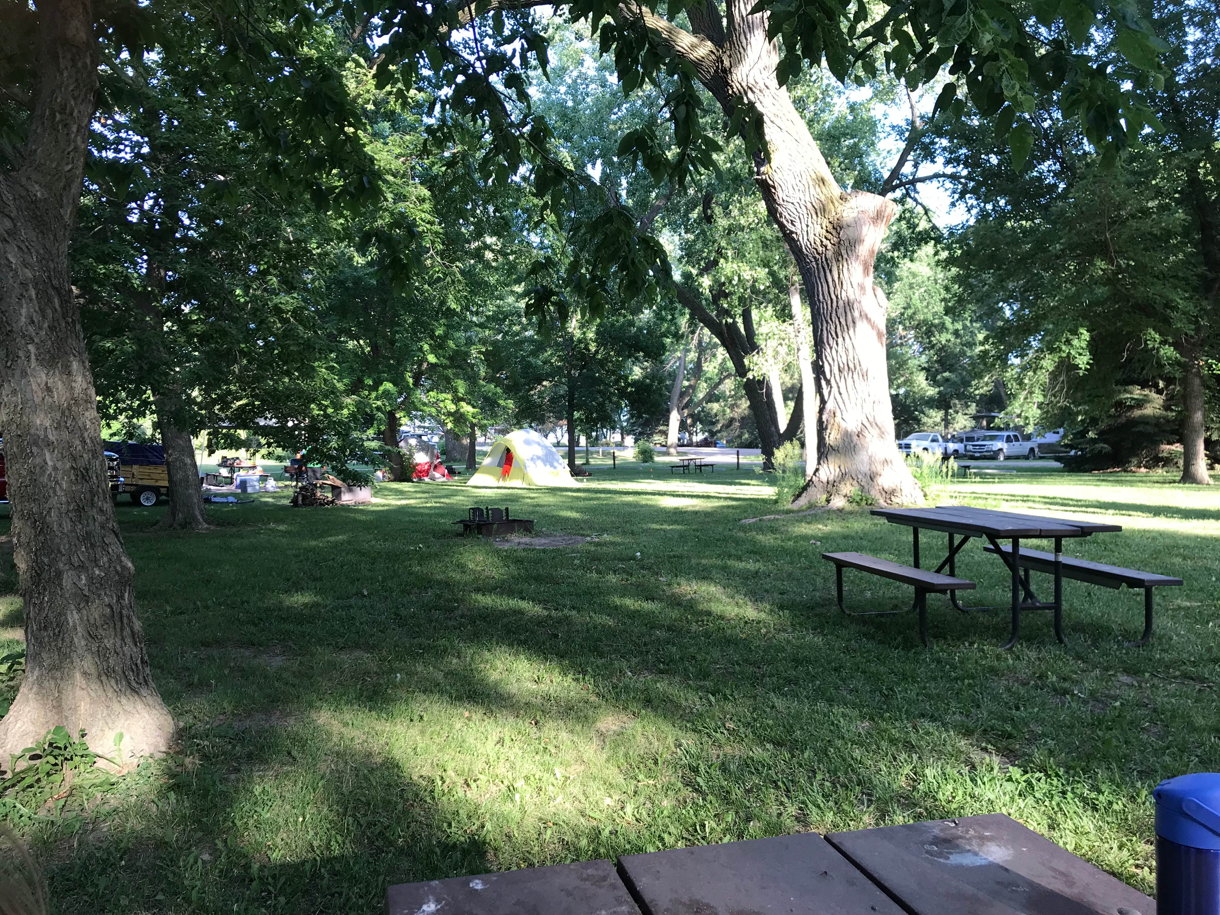 Camper submitted image from Main Area Campground - 3