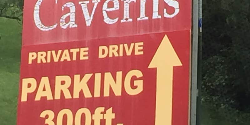 Camper submitted image from Ouachita/Mill Creek