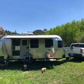 Review photo of Pole Mountain Dispersed Camping by Taylor B., June 13, 2021