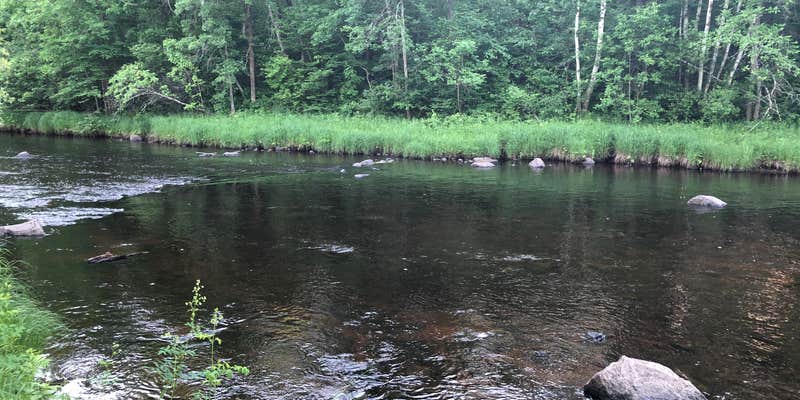 Camper submitted image from Thornapple River Campground