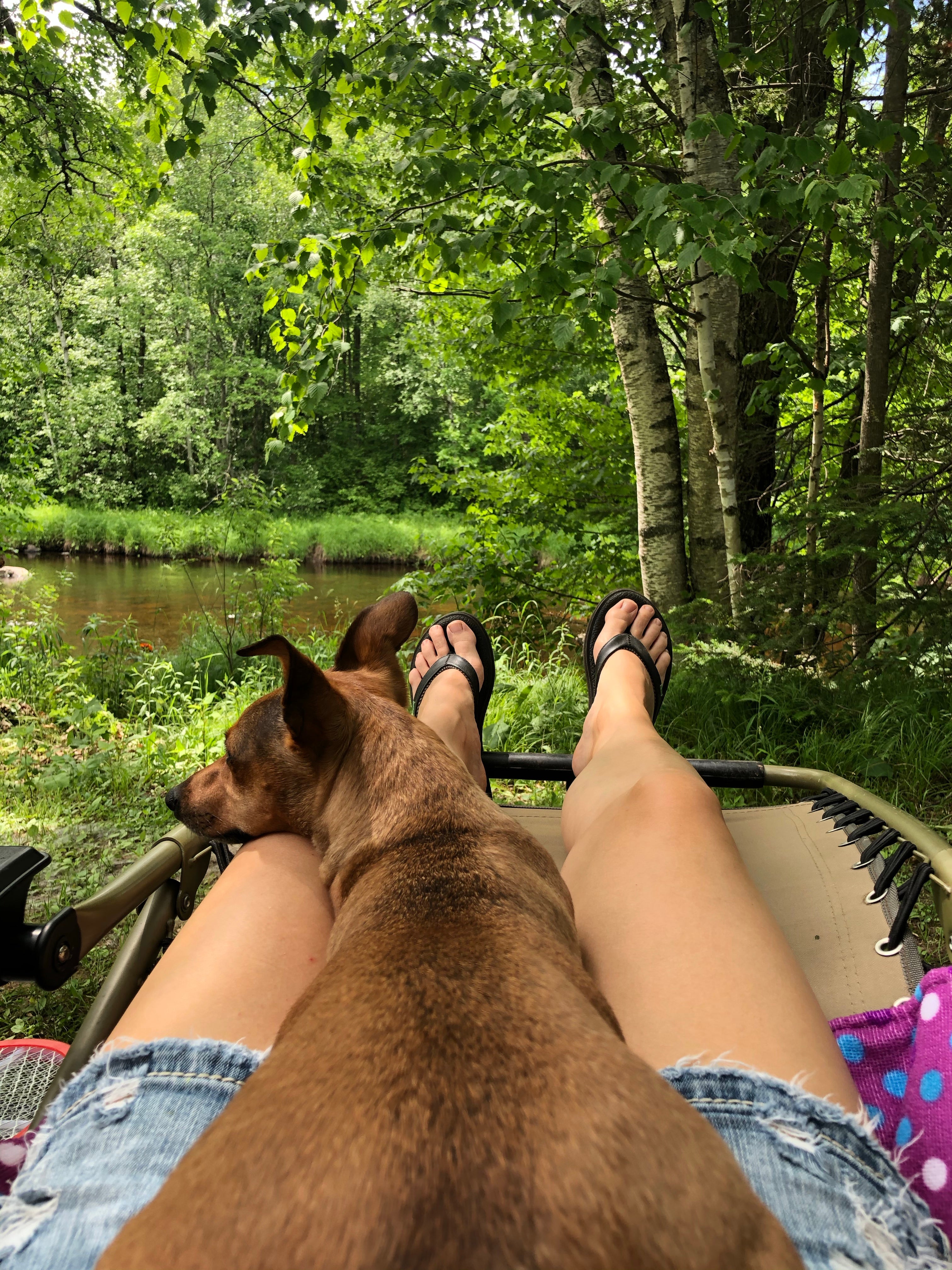 Camper submitted image from Thornapple River Campground - 5