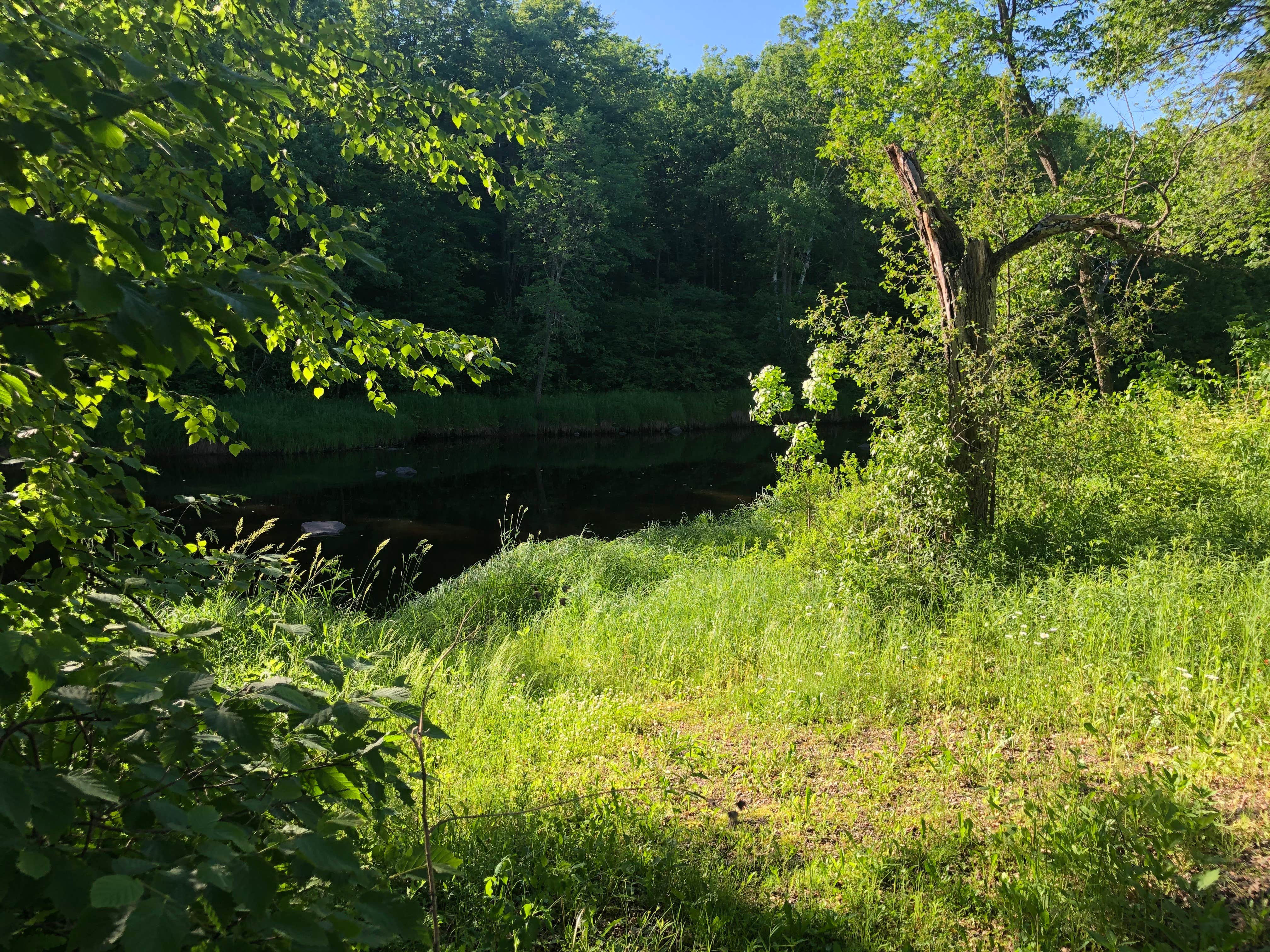Camper-submitted photo at Thornapple River Campground near Westboro, WI