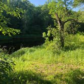 Review photo of Thornapple River Campground by Amanda W., June 13, 2021