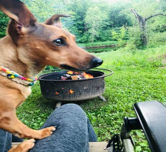 Camper-submitted photo from Thornapple River Campground
