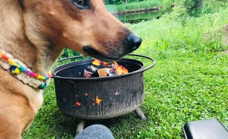 Amanda W.'s photo of camping with pets at Thornapple River Campground in Wisconsin