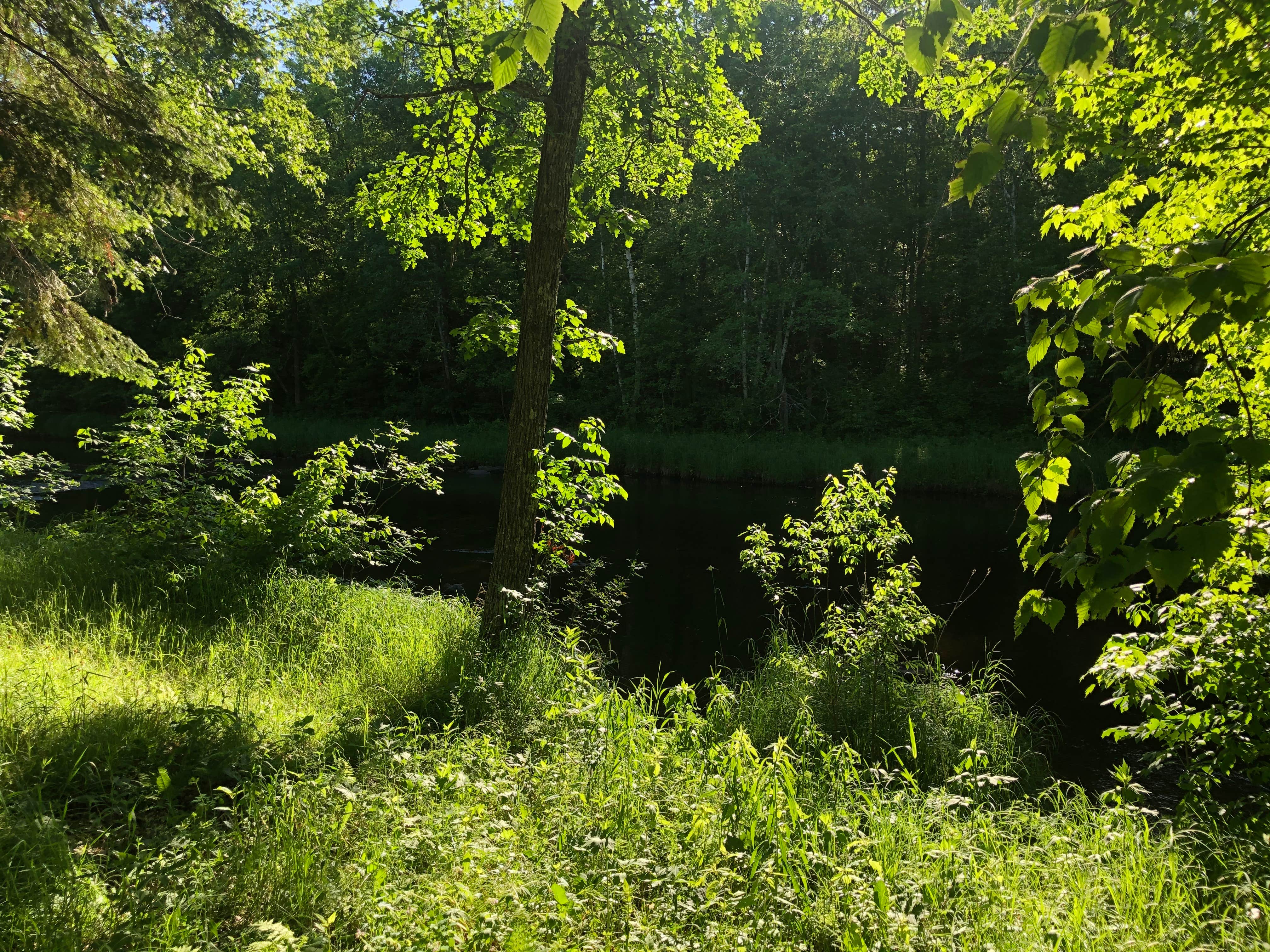 Camper-submitted photo at Thornapple River Campground near Westboro, WI