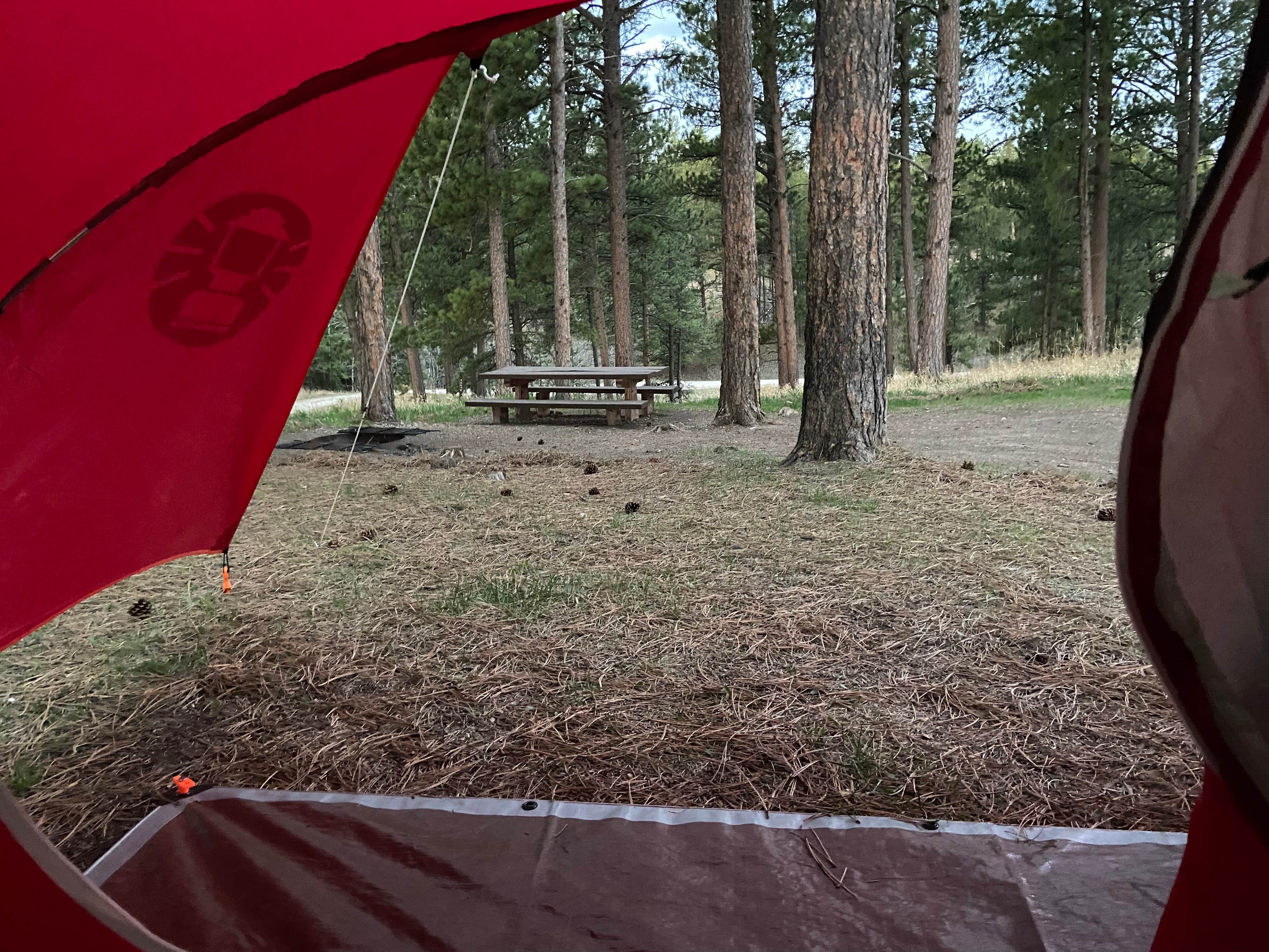 Gavin A.'s photo at Whitetail Campground near Black Hills National Forest