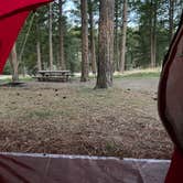 Review photo of Whitetail Campground by Gavin A., June 13, 2021