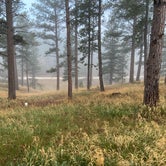Review photo of Whitetail Campground by Gavin A., June 13, 2021