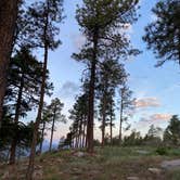 Review photo of Carr Lake Campground on Forest Road 9350 by Debbie Z., June 13, 2021