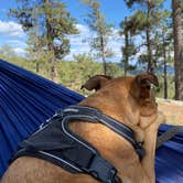 Review photo of Carr Lake Campground on Forest Road 9350 by Debbie Z., June 13, 2021