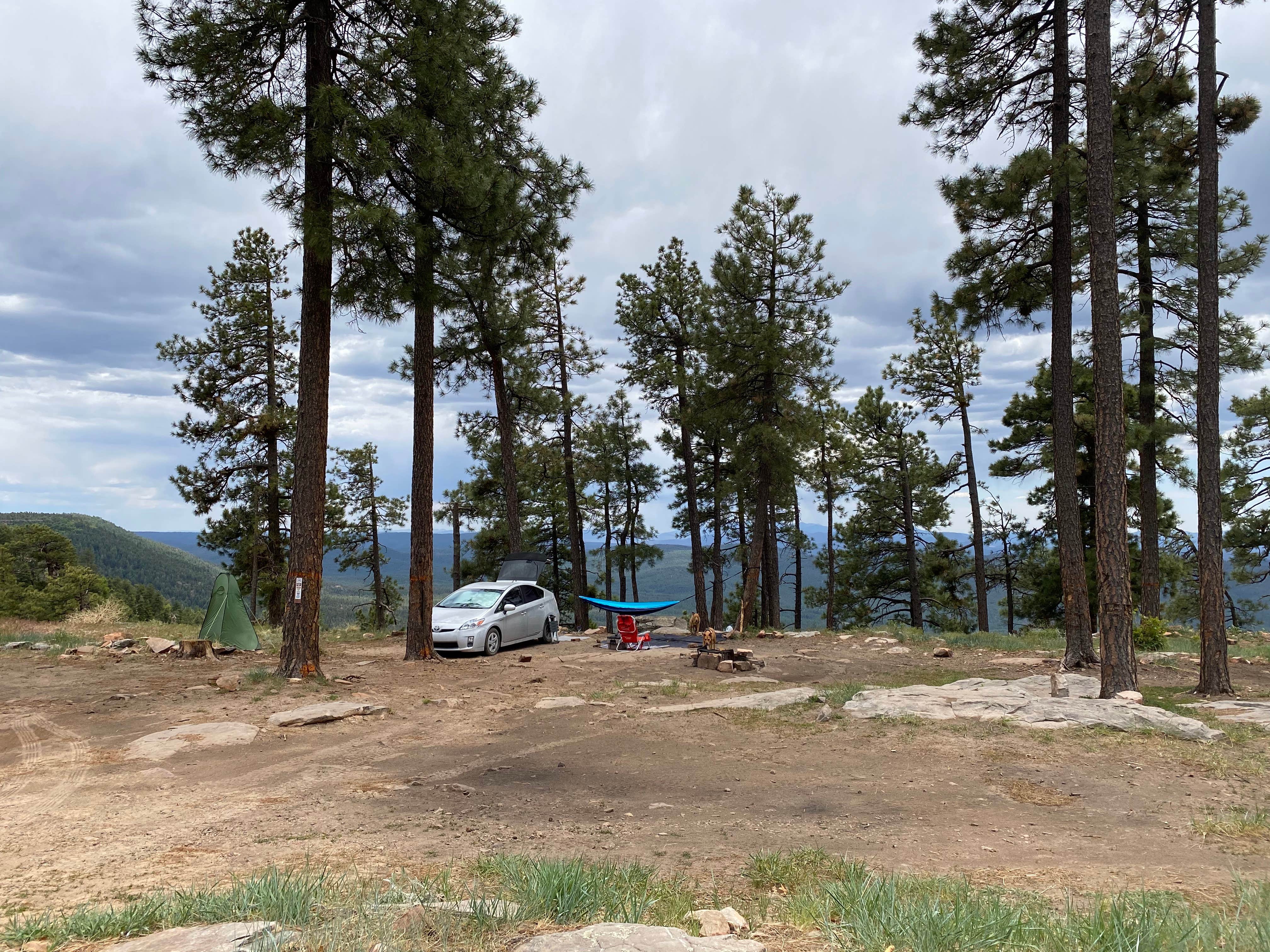 Debbie Z.'s photo at Fr 9350 Campground near Kohls Ranch, AZ