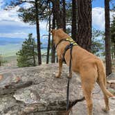 Review photo of Carr Lake Campground on Forest Road 9350 by Debbie Z., June 13, 2021