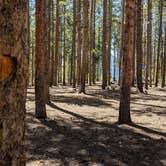 Review photo of Belle Of Colorado Campground — Psicc by Marie W., June 13, 2021