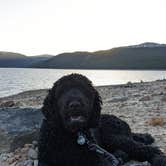 Review photo of Belle Of Colorado Campground — Psicc by Marie W., June 13, 2021